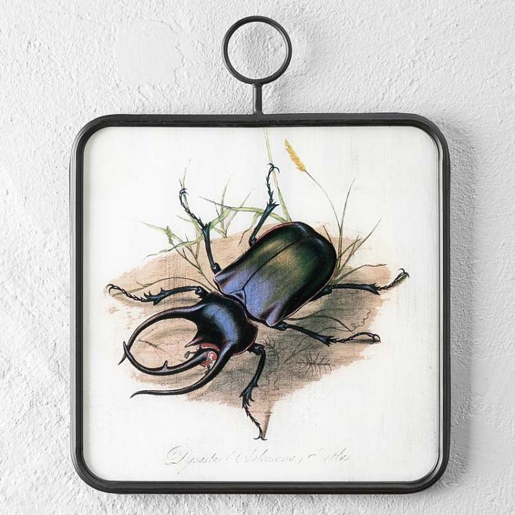 Картина-принт в металлической раме Насекомое Insect Glass Frame