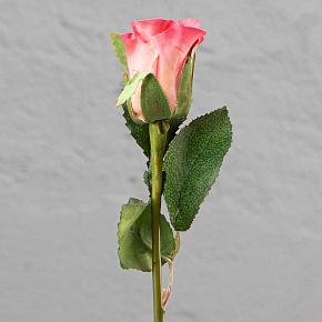 Annabelle Rose Pink 52 cm