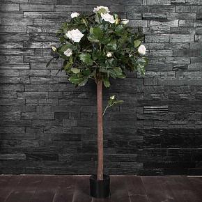 Rose Ball Tree White 120 cm