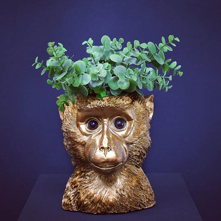 Кашпо Золотая обезьяна Flower Pot Golden Ape