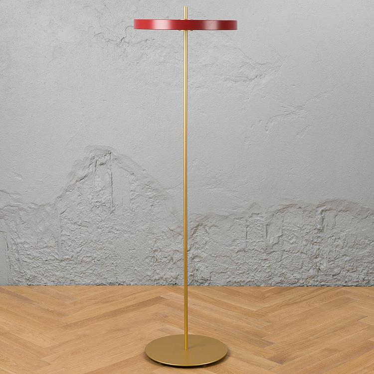 Торшер светодиодный Астерия Asteria Floor Lamp