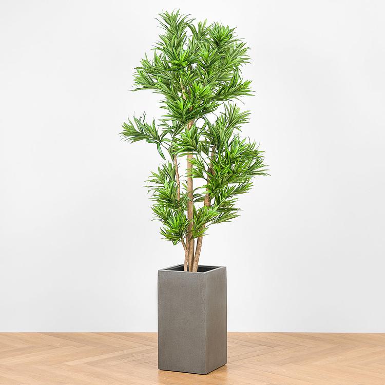 Искусственное дерево Natural Dracaena Reflexa 180 cm - ракурс 6