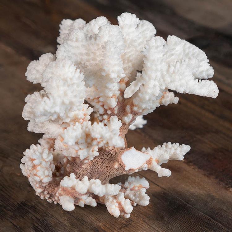 Винтажный натуральный морской коралл 4 Vintage Coral 4