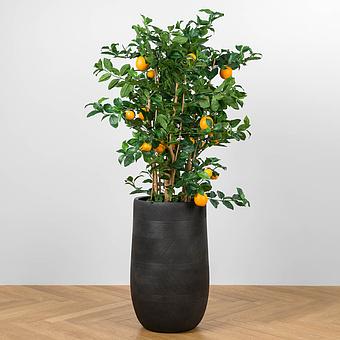 Кашпо Ergo Graphics Tall Bowl Pot Graphite Large - ракурс 5