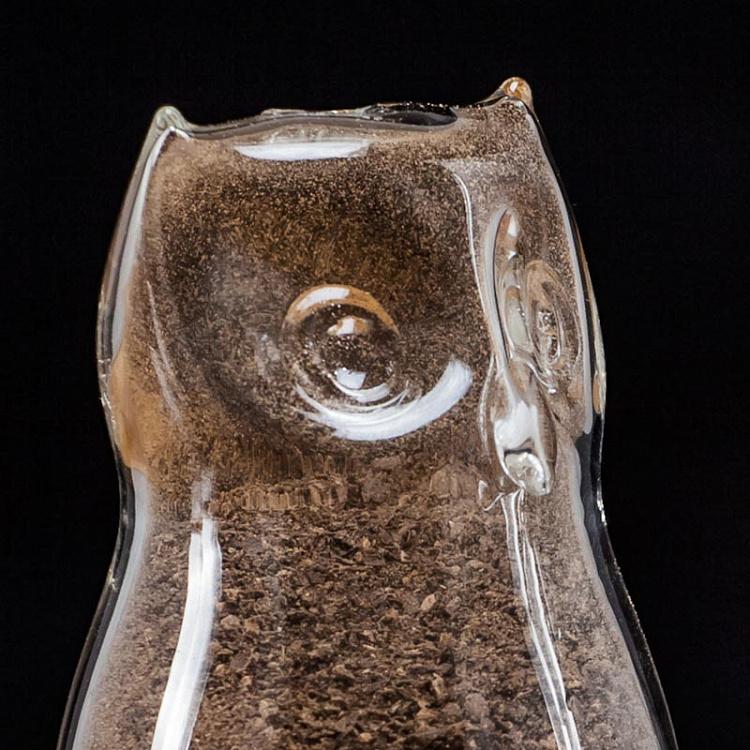 Набор для специй Совы Salt And Pepper Owls In Clear Glass
