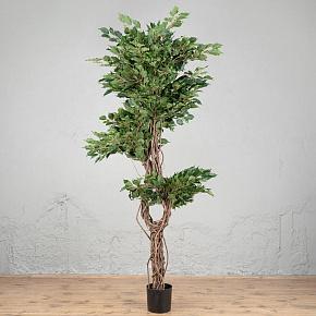 Искусственное дерево Celeste Ficus Benjamina 210 cm