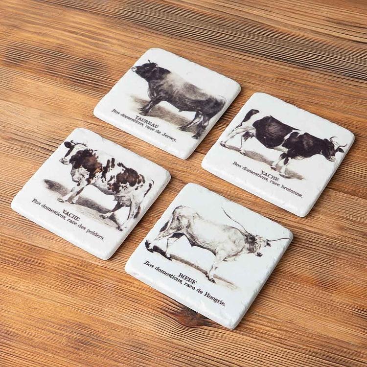 Набор из четырёх подставок под стаканы Коровы Set Of 4 Stone Coasters Cows