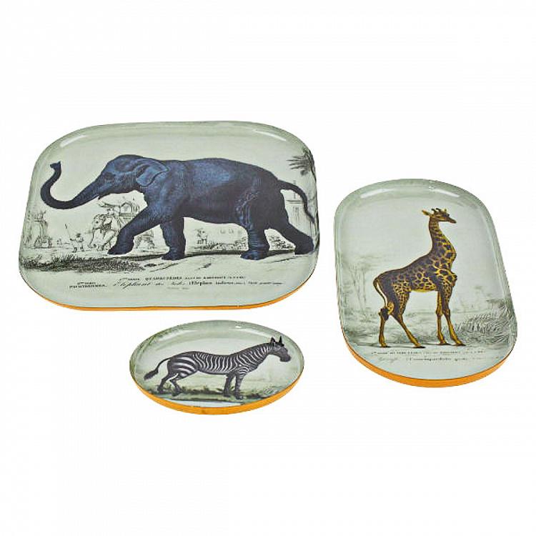 Набор из трёх подносов Сафари Set Of 3 Trays Safari