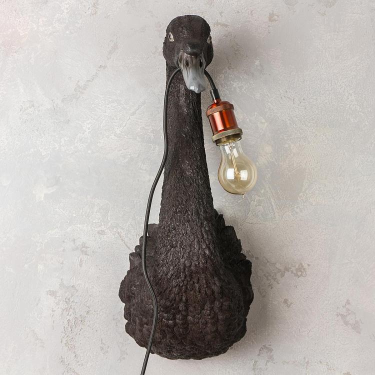 Бра Чёрный лебедь Петра Wall Lamp Petra Black