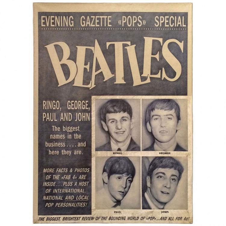 Картина на коже Битлз The Beatles