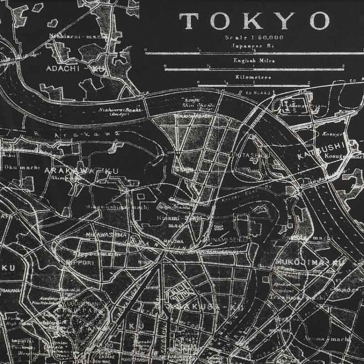 Арт-объект Карта Токио Savoy Map Tokyo