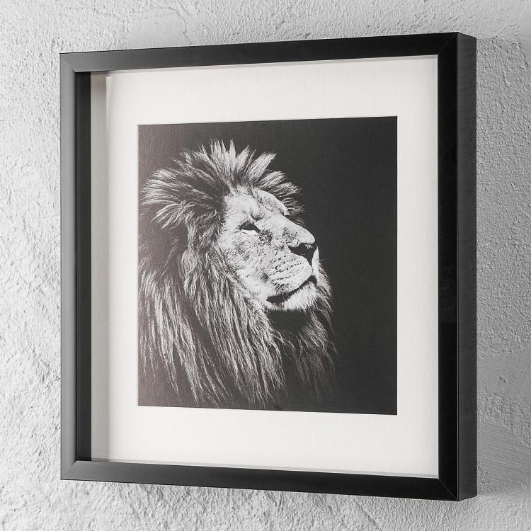 Majesty, Black Box Frame