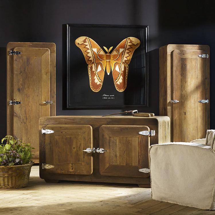 Картина-принт Коричневая Бабочка, чёрный фон Entomology Brown Flat Butterfly