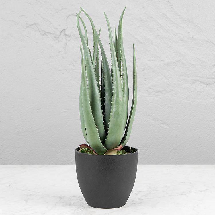Искусственное растение Aloe 57 cm