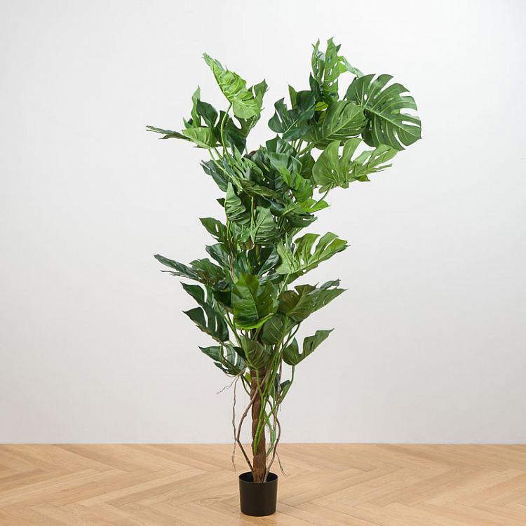 Искусственное растение Монстера на стволе, L Monstera Tree Trunk 205 cm