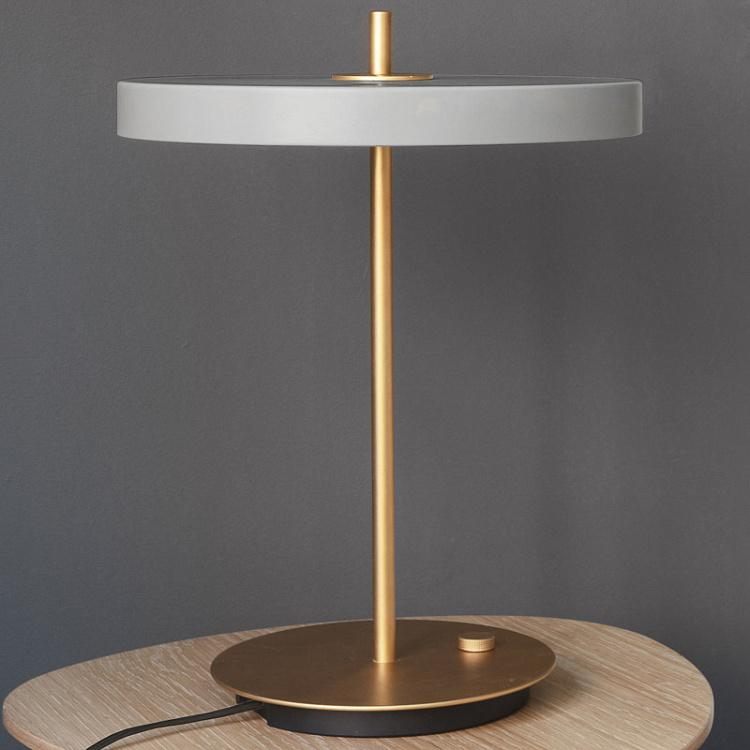 Настольная светодиодная лампа Астерия Asteria Table Lamp