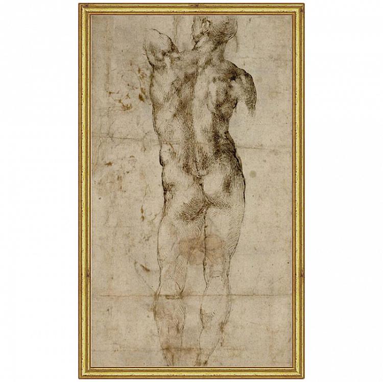 Рисунок-принт в золотой раме Микеланджело, Обнаженный Michelangelo Nude, Gold Frame