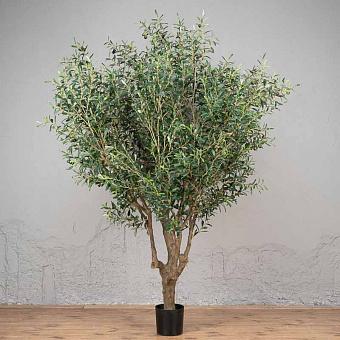 G-Forest Olive With Fruits 210 cm