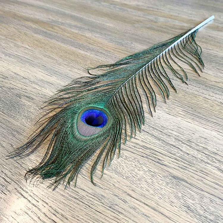 Винтажное перо павлина, S Vintage Peacock Feather Small