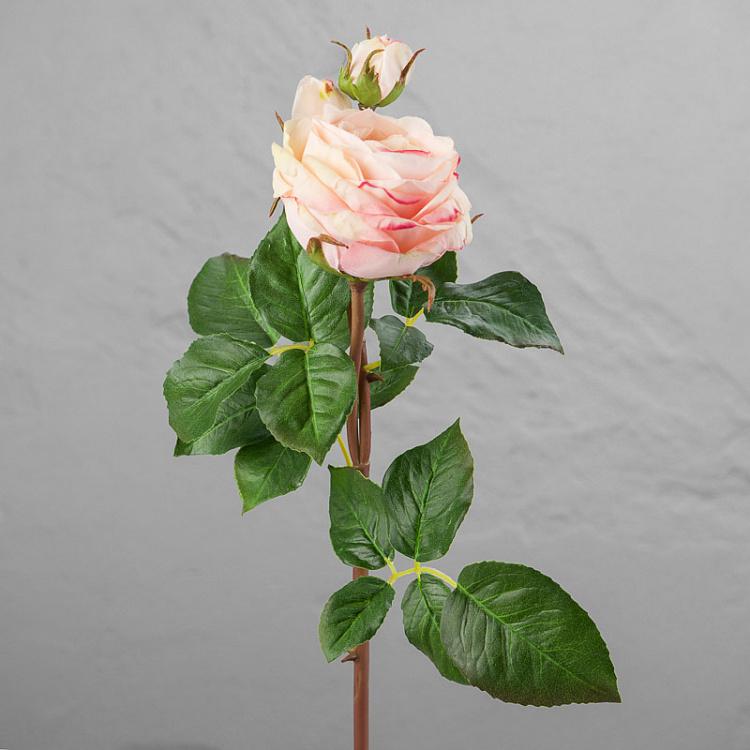 Искусственная роза Дэвид Остин кремово-розовая с лаймовым David Austin Rose Creamy Pink With Lime 50 cm