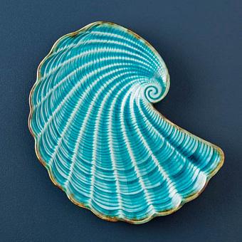 Aqua Shell Dish Medium