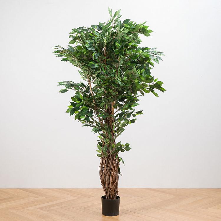 Искусственный фикус Лиана Де люкс, S De Luxe Ficus Liana 180 cm