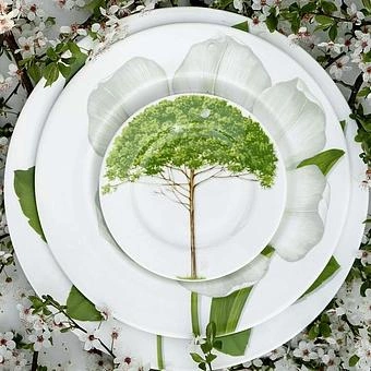 Тарелка Freedom Wood 2 Dessert Plate - ракурс 9