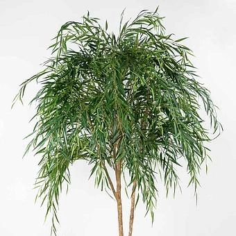 Искусственное растение Weeping Willow 240 cm - ракурс 3