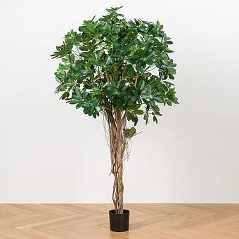 Искусственное дерево Umbrella Schefflera Green 170 cm