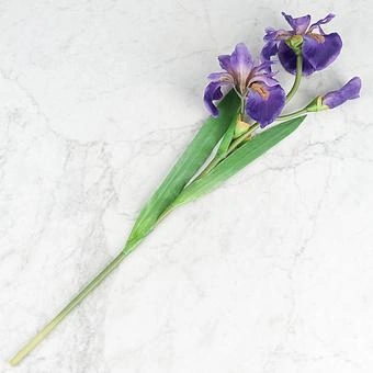 Искусственный цветок Siberica Iris Dark Lilac 80 cm - ракурс 3