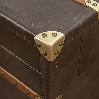 Журнальный стол-сундук Piligrim Coffee Table, Light Wood RM натуральная кожа Antique Master - ракурс 8