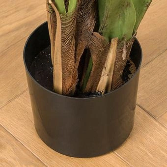 Искусственное дерево De Luxe Kentia Palm 170 cm