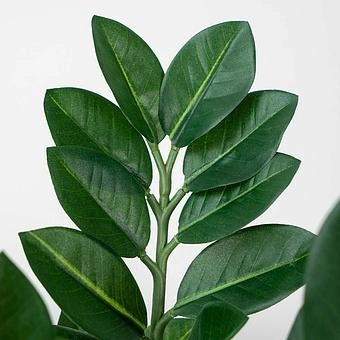 Искусственное растение Zamiokulkas Middle Bush 75 cm - ракурс 3