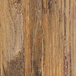 вяз Elm Brown