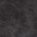 натуральная кожа Freehand Waxed Bark