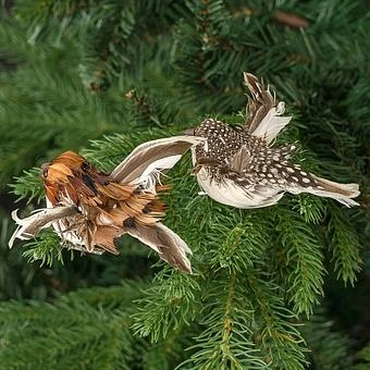 Набор из 2-х ёлочных игрушек Set Of 2 Feather Birds On Clip Brown 11 cm - ракурс 2