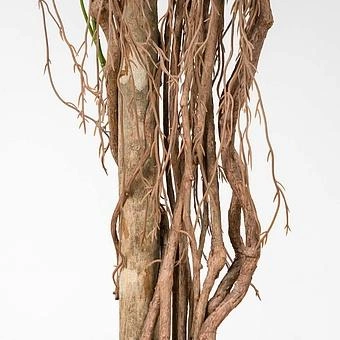 Искусственное дерево Umbrella Schefflera Green 170 cm