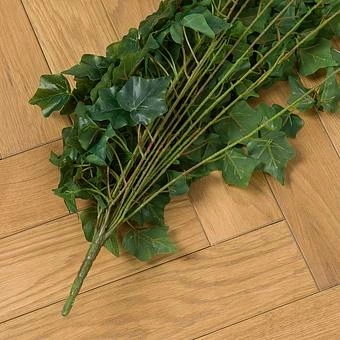  - ракурс 6