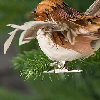 Набор из 2-х ёлочных игрушек Set Of 2 Feather Birds On Clip Brown 11 cm - ракурс 9