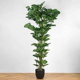 Искусственное дерево Giant Monstera Tree Trunk 290 cm