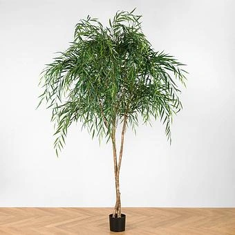 Искусственное растение Weeping Willow 240 cm - ракурс 2