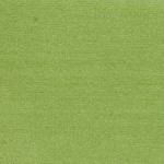 хлопок Vintage Lime