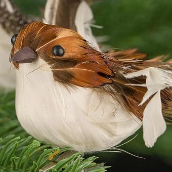 Набор из 2-х ёлочных игрушек Set Of 2 Feather Birds On Clip Brown 11 cm - ракурс 7