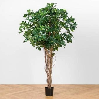Искусственное дерево Umbrella Schefflera Green 170 cm