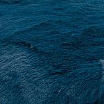 искусственный мех Big Bear Blue
