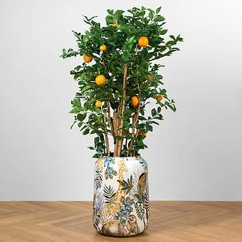 Кашпо Effectory Savage Garden Vase Pot Wild Large - ракурс 9