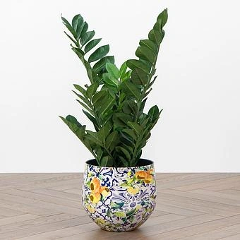 Кашпо Effectory Savage Garden Bowl Pot Capri Medium - ракурс 9