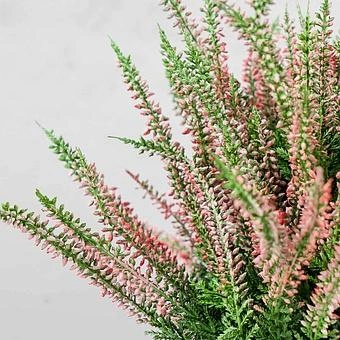 Искусственное растение Erica Heather Bush Soft Pink 35 cm - ракурс 3