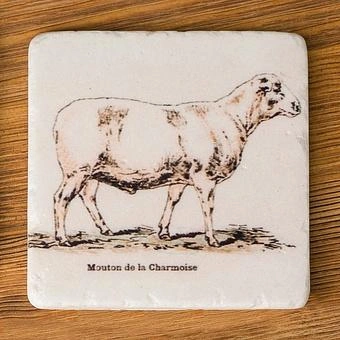 Набор из 4-х подставок под стаканы Set Of 4 Stone Coasters Sheep - ракурс 4
