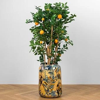 Кашпо Effectory Savage Garden Vase Pot King Large